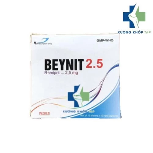 Beynit 2.5